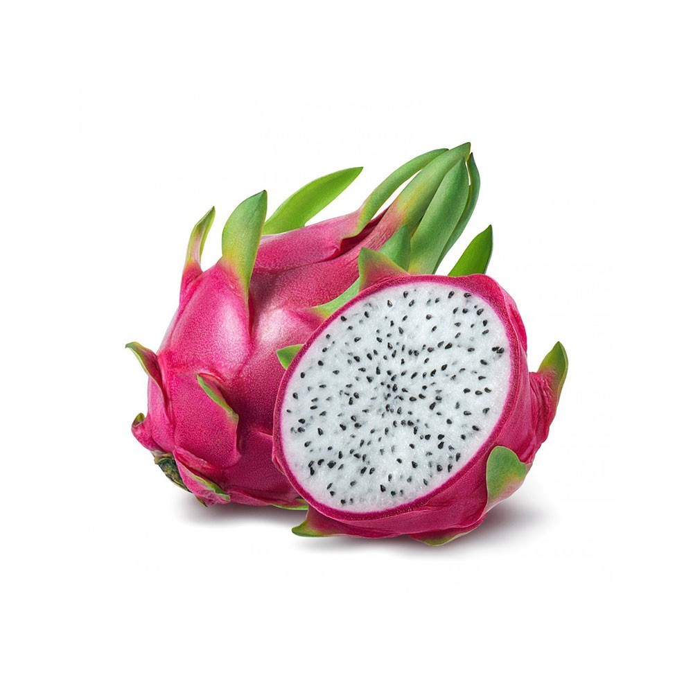 Pink Dragon Live Plant Alocasia Calidora Fruit