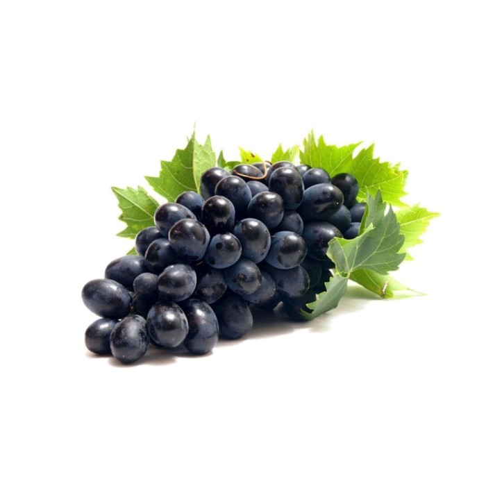 Farmer Live Plant Grape Fruit Black Grapes