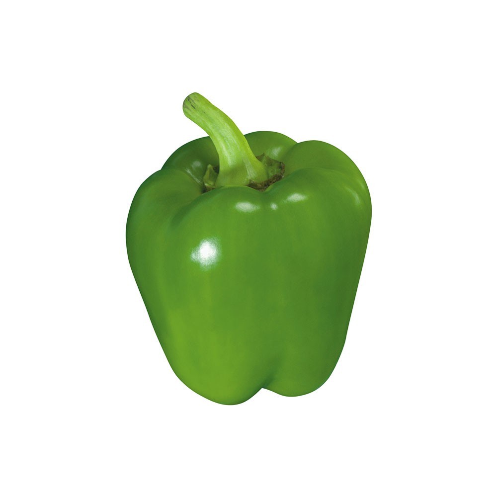 Organic Transparent Green Bell Pepper