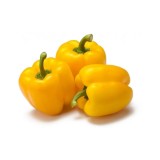Organic Transparent Green Bell Pepper